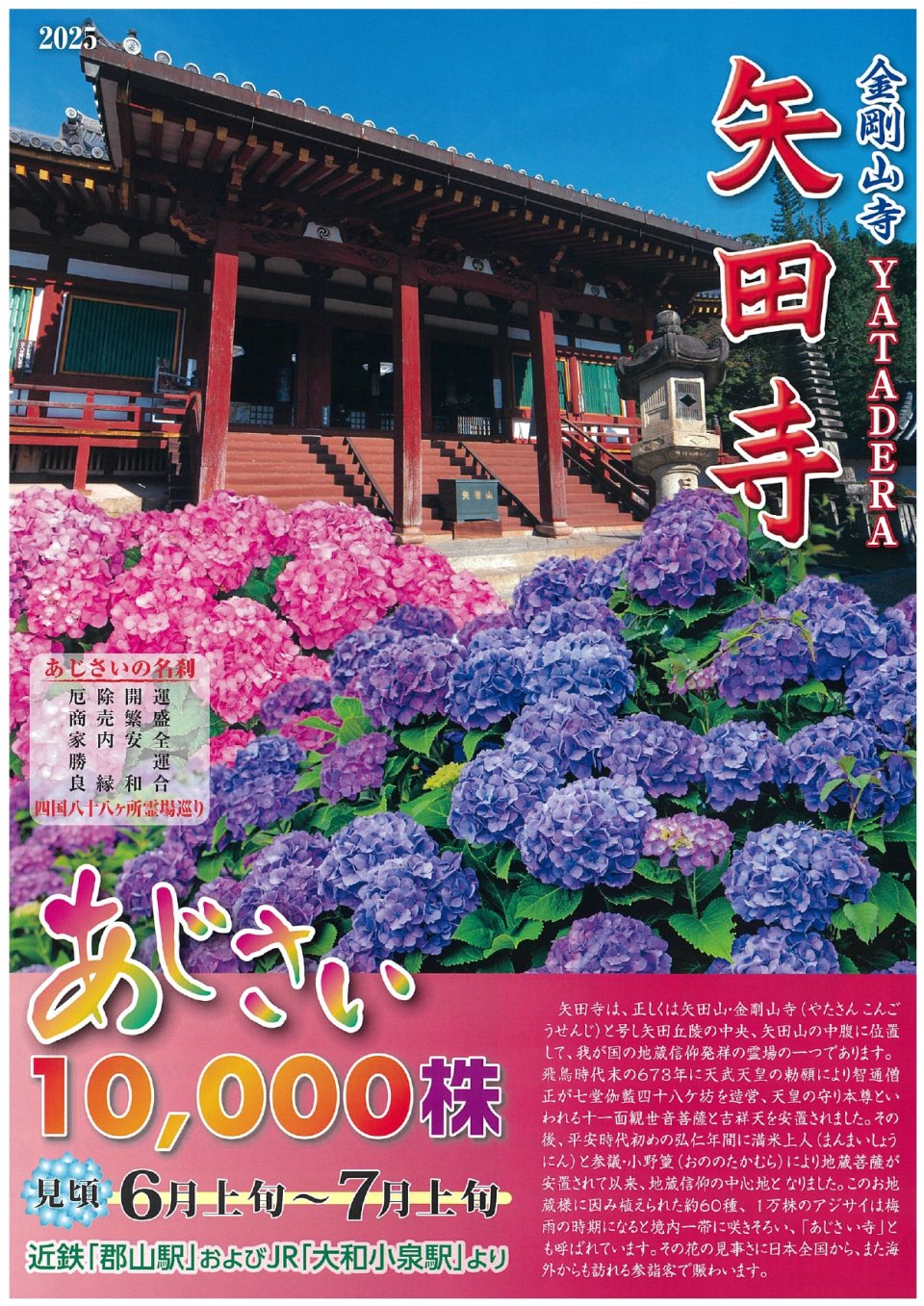 矢田寺 アジサイ園開園のお知らせ♪