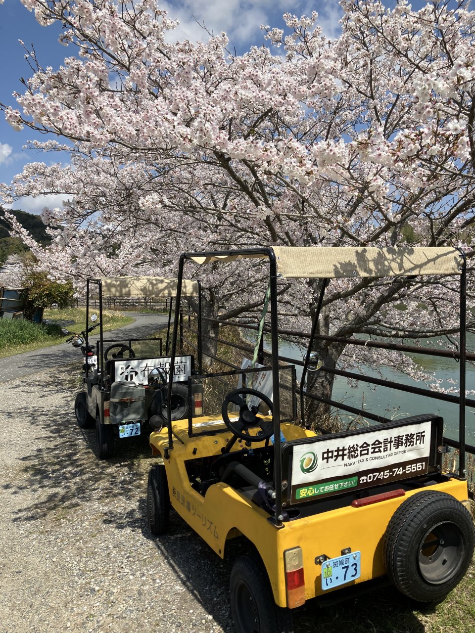 斑鳩さくら・菜の花通信　pt2